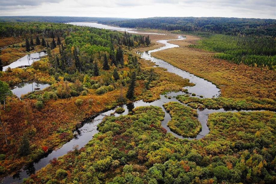 Porcupine Hills Provincial Park