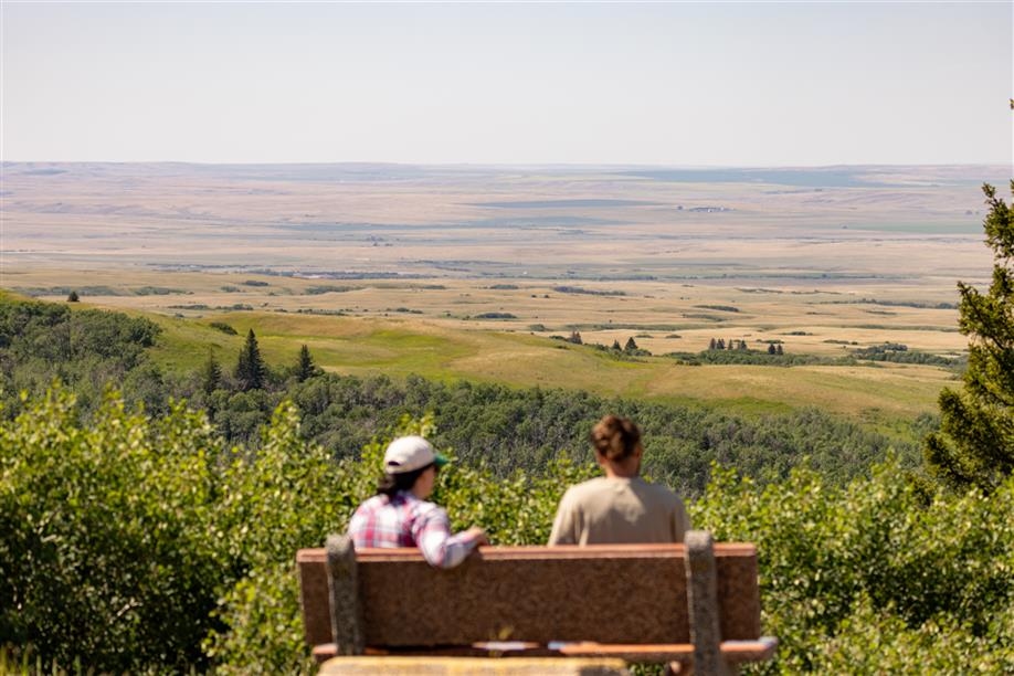 Cypress Hills - Lookout Point