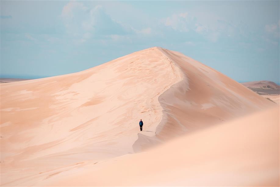 Athabasca Sand Dunes Provincial Park