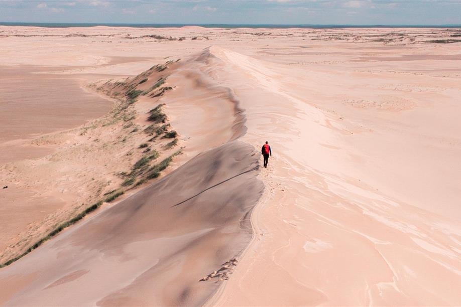 Athabasca Sand Dunes Provincial Park