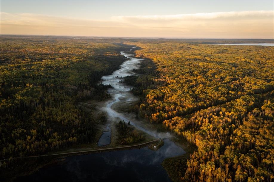 Great Blue Heron Provincial Park - Anglin Lake Trails