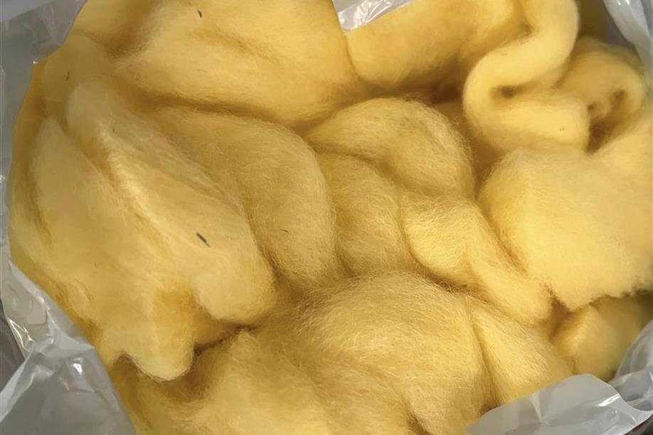 Prairie Fire Alpacas