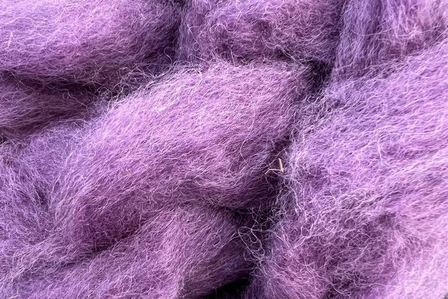 Prairie Fire Alpacas