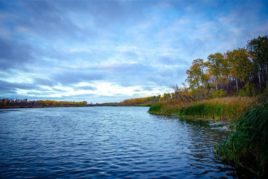 Ravine Ecological Preserve