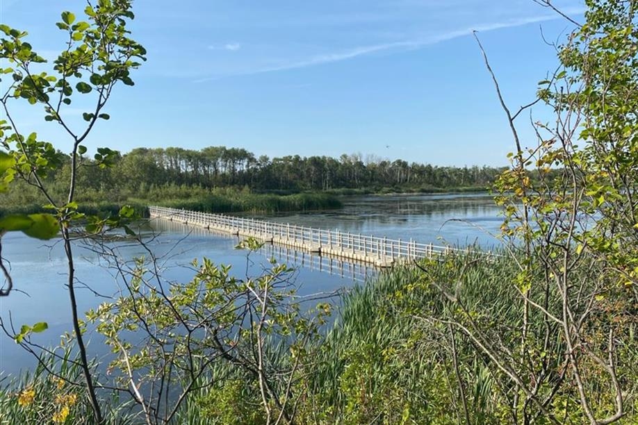 Ravine Ecological Preserve