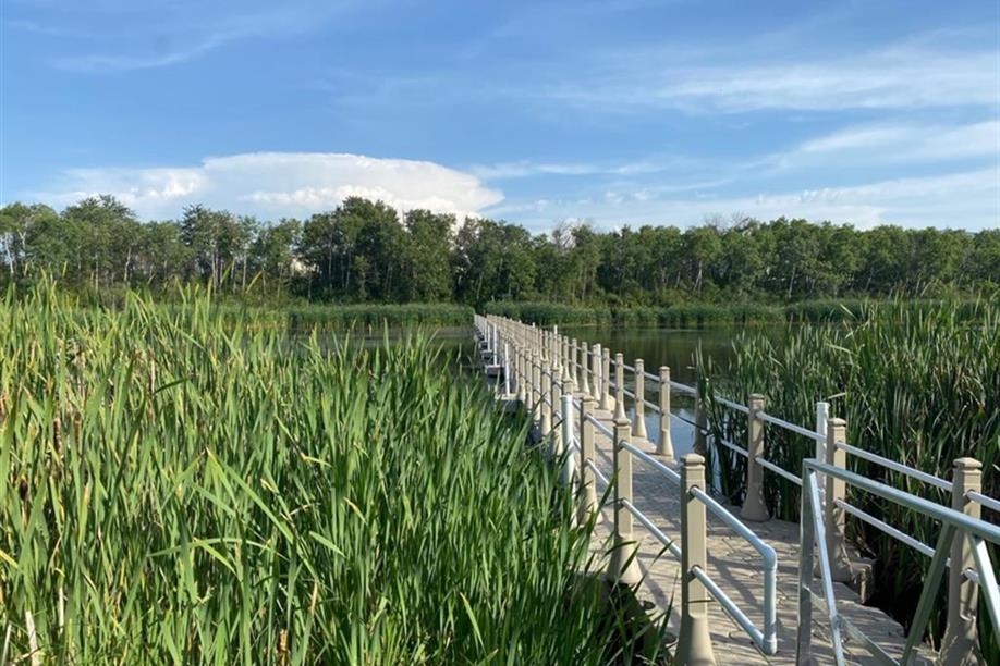 Ravine Ecological Preserve