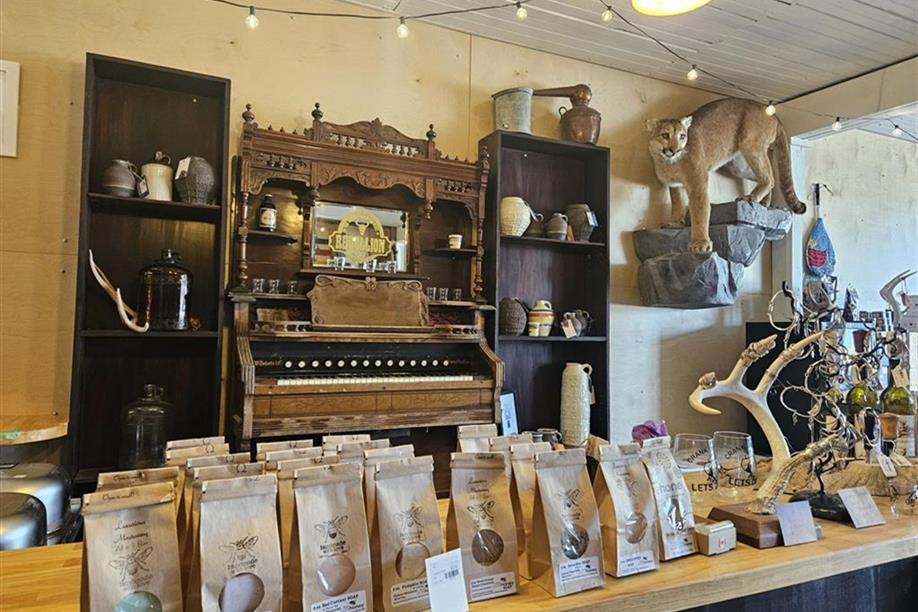 Rebellion Apparel, Antiques and Local Artisan Shop