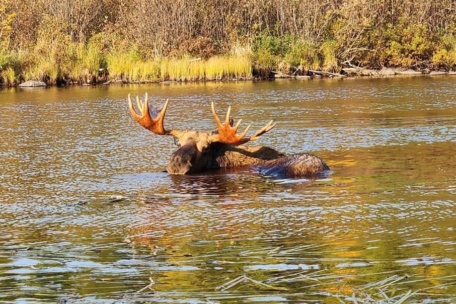 Reindeer Lake Trout Camp