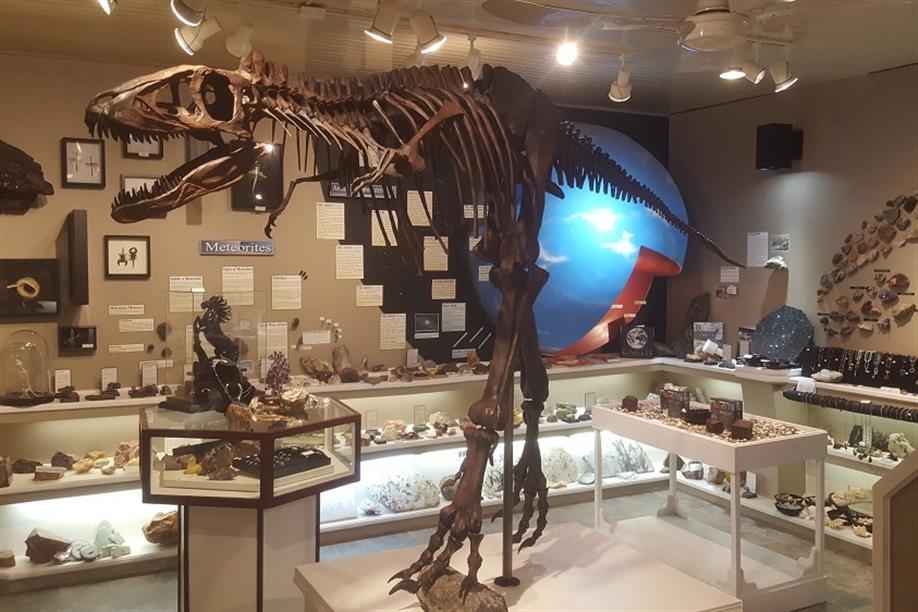 Sesula Mineral and Gem Museum and Rock Shop houses Canada's only baby T.rex