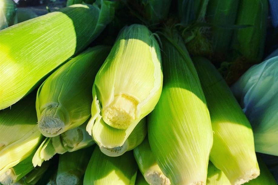 Saskatoon Farmers' Market