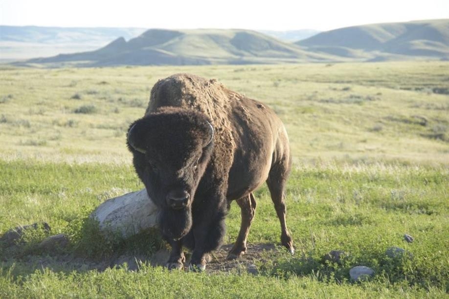 Sky Story Bed & Breakfast