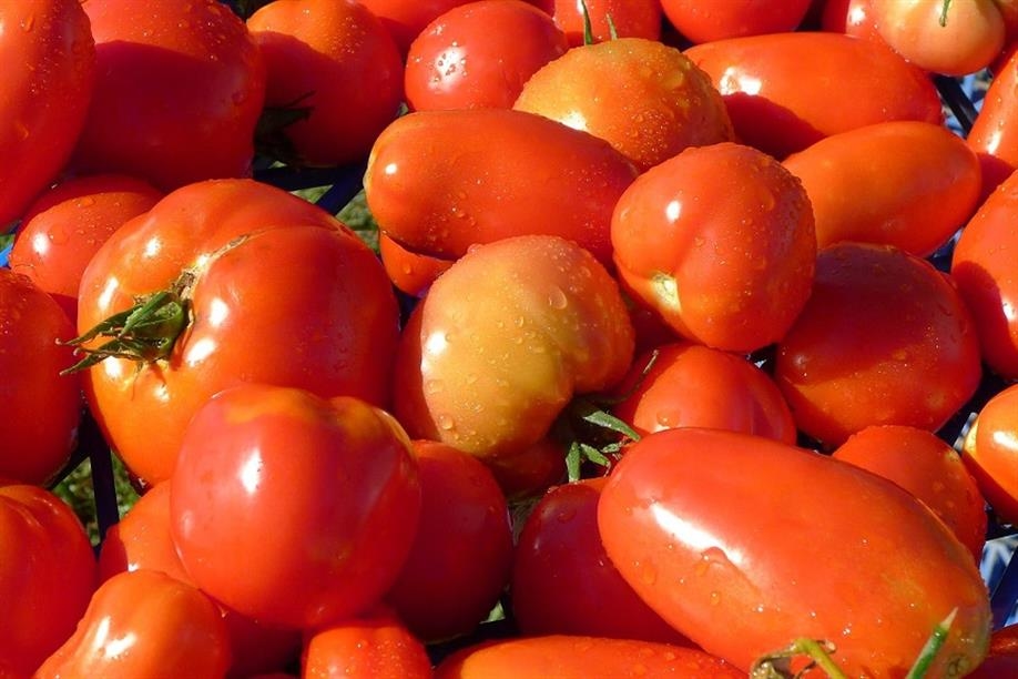 Spruce River Research Farm