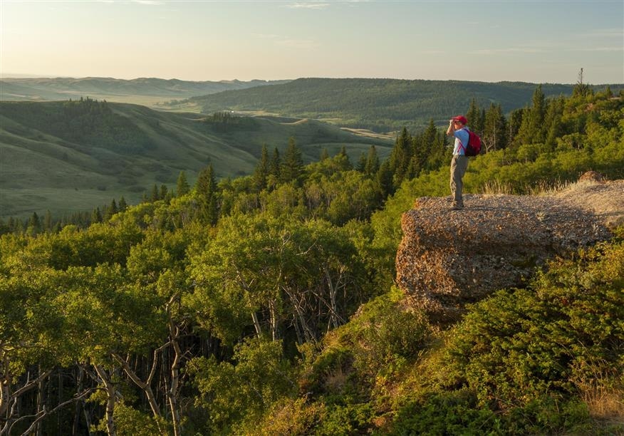 Cypress Hills Conglomerate Cliffs