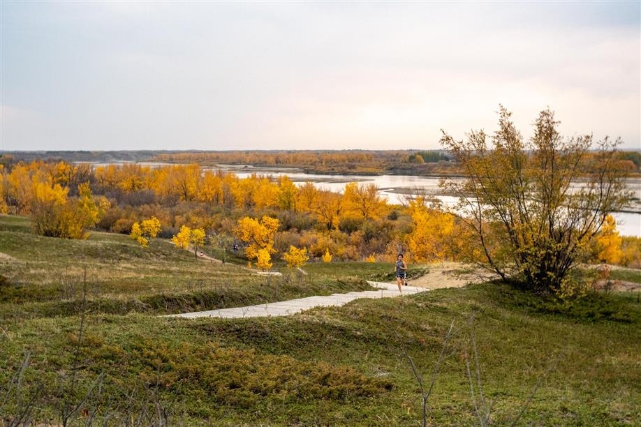 Cranberry Flats Conservation Area; Photo: Tourism Saskatchewan