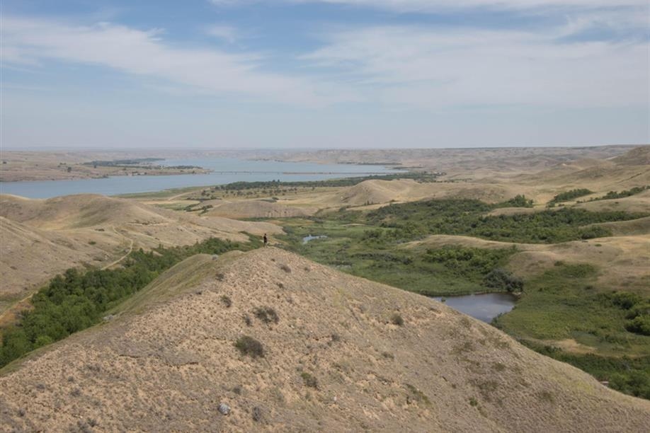 Saskatchewan Landing Provincial Park Trails