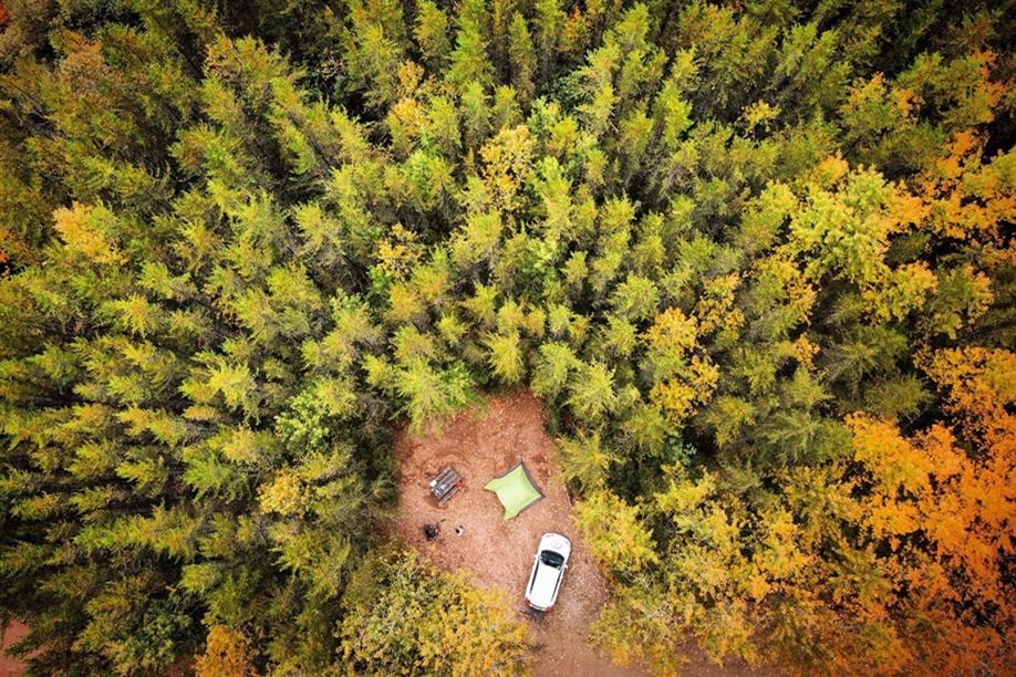 Porcupine Hills Provincial Park