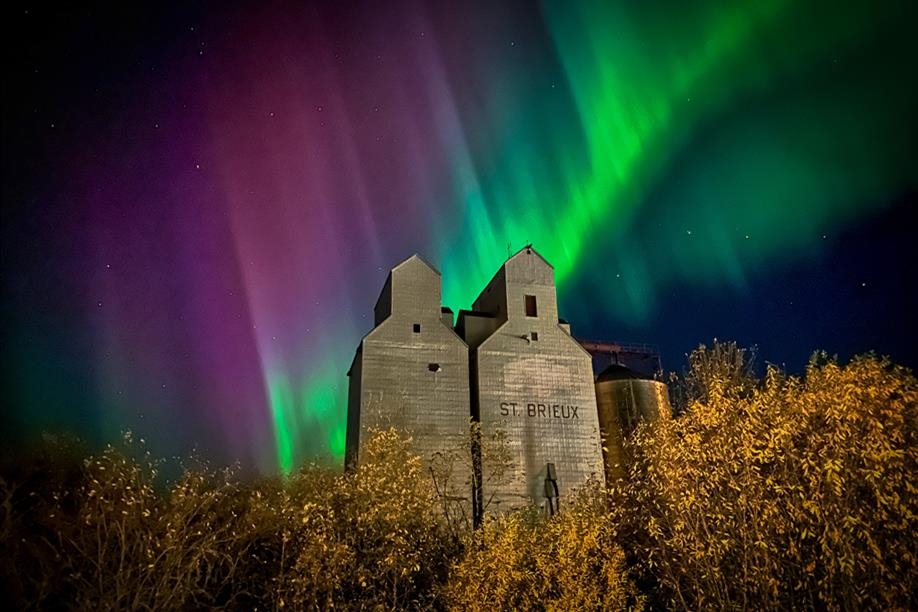 St. Brieux