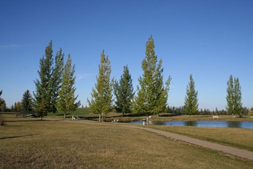 Maidstone - Walking Trail