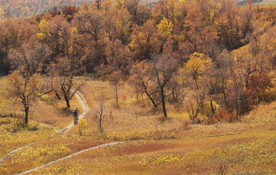 Wascana Valley Natural Area Recreation Site; Photo: Gerard Makuch