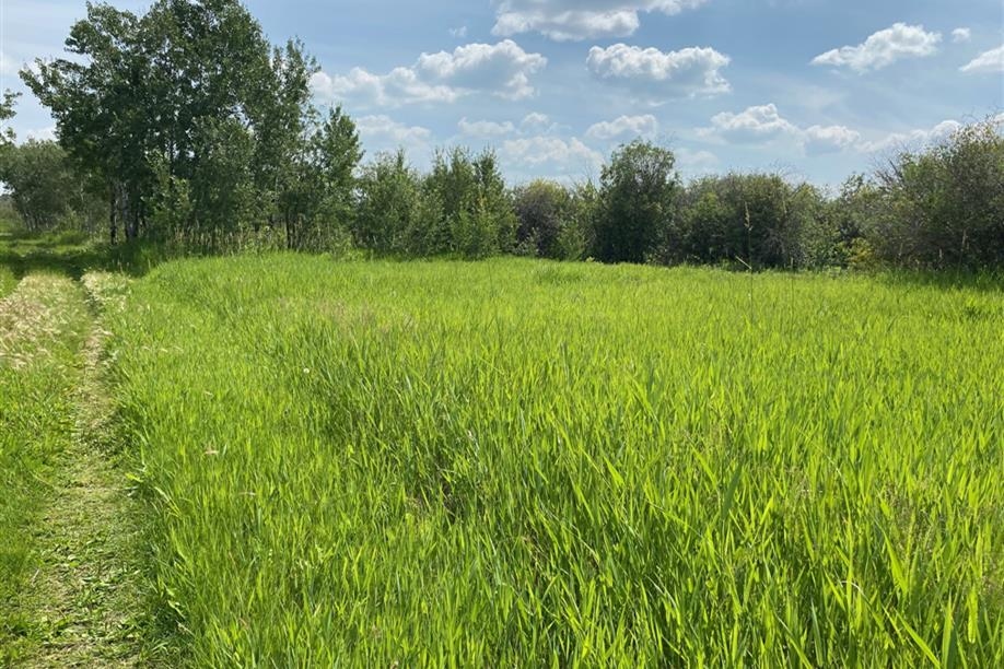 White Butte Trails Recreation Site