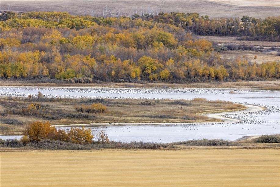 Redberry Lake Biosphere Region; Photo: Neil Zeller Photography