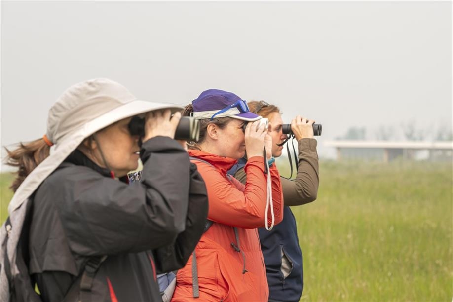 Last Mountain Lake Migratory Bird Sanctuary, part of Last Mountain Lake National Wildlife Area