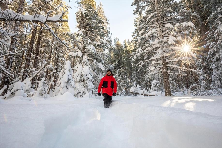 Cypress Hills Interprovincial Park