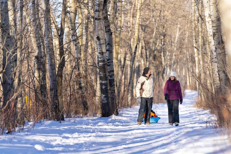 Moose Mountain Provincial Park Trails; Photo: Tourism Saskatchewan