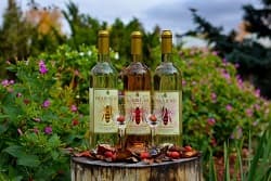 Prairie Bee Meadery - The Winery