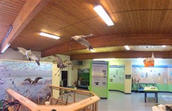 Quill Lakes Interpretive Centre