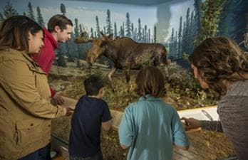 Royal Saskatchewan Museum