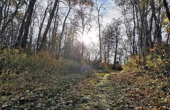 Kinistino - Struthers Lake Regional Park Trails