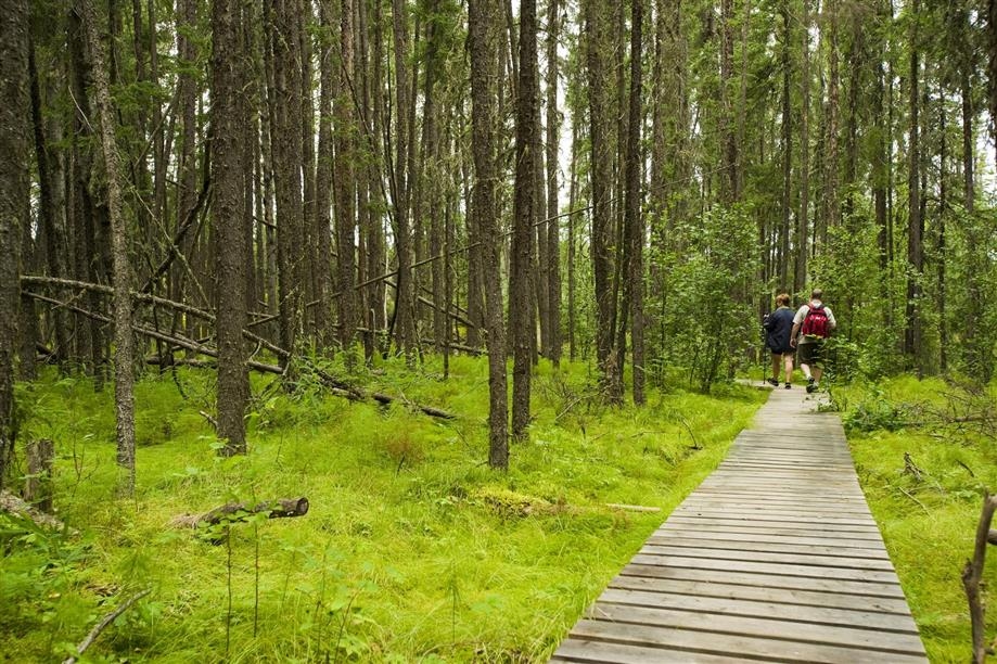 Lac La Ronge Provincial Park | Tourism Saskatchewan